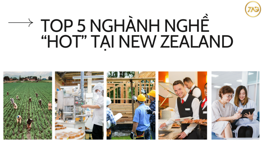 top 5 nghành nghề tại NewZealand dành cho lao động Việt