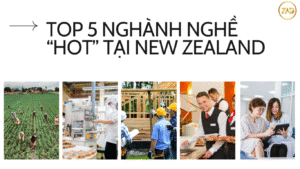 top 5 nghành nghề tại NewZealand dành cho lao động Việt
