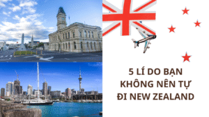 5 Lý Do Bạn Không Nên Tự Đi New Zealand Nếu Không Có Đơn Bảo Lãnh Rõ Ràng